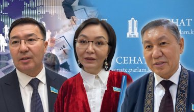 Пойдут преподавать или вновь станут депутатами: сенаторы поделились своими планами