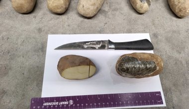 Узбекистанец пытался провезти 72 кг наркотиков под видом картофеля