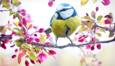 Где жара, а где дожди: прогноз по Казахстану на выходные