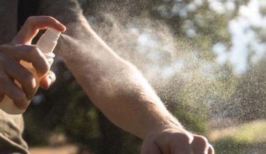 78 человек уже пострадали от укусов клещей в Алматы