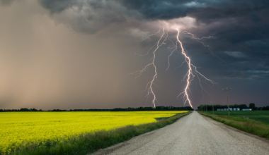Грозы, туман и ветер: синоптики предупредили казахстанцев