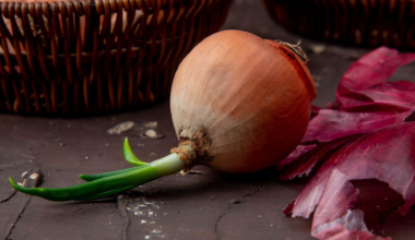 В Казахстане гниет урожай лука: цены могут вырасти