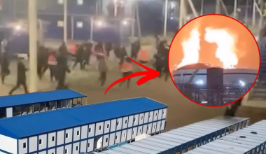 МИД о драке в Усть-Луге: это бытовой инцидент, виновных устанавливают