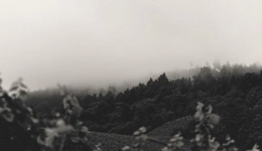 Грозы, туман и шквалистый ветер: где в Казахстане ожидается непогода