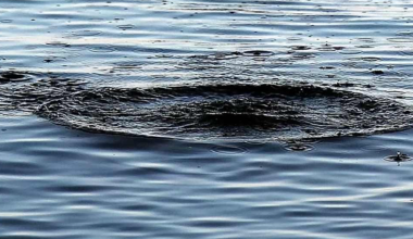 В Туркестанской области нашли тело утонувшей двухлетней девочки