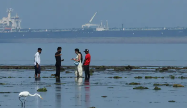 Индия вернулась к иранской нефти на фоне мирового кризиса