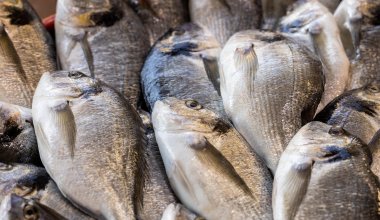 Следом за мясом в Казахстане стремительно дорожает рыба