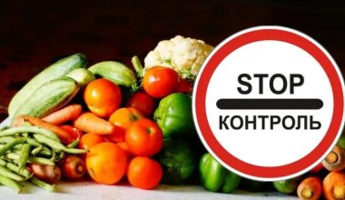 Системный кризис в фитоконтроле: как опасные инфекции завозятся в Казахстан