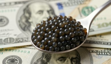 Госпредприятие хотело купить черную икру на 147 млн тенге в Казахстане