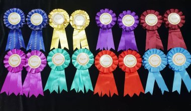 «Лучший сват» и «человек века»: навести порядок с фальшивыми наградами хотят в Казахстане