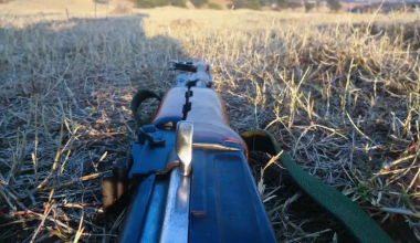 Стрельба в воинской части в Павлодаре: один военный погиб, второй ранен