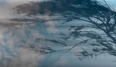 Сильный ветер и осадки накроют регионы Казахстана