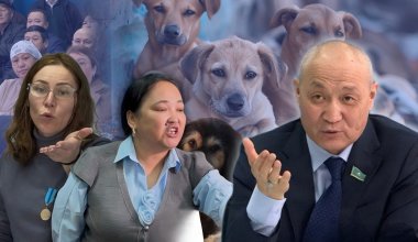 На собак миллиарды, а на детей? Как Жанбыршин и зоозащитники о новом законе спорили