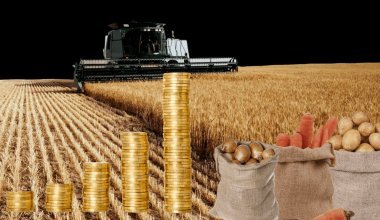 В сёлах некому работать. Чем Казахстан будет себя кормить?