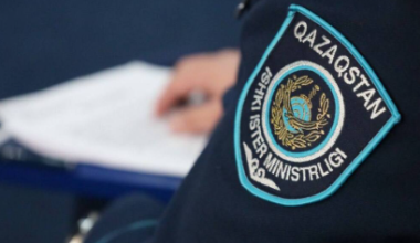 В Казахстане полиция оценила убийство котёнка в 43 тысячи тенге