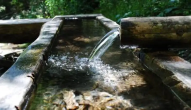 Жуткую находку в арыке обнаружили алматинские коммунальщики