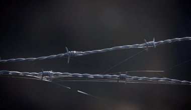 Клопы и теснота: арестованные пожаловались на спецприемник в Актобе