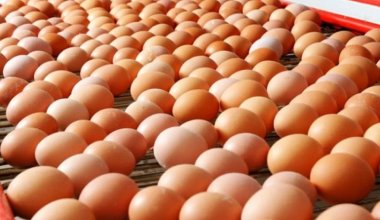 Казахстан запретил ввоз яиц