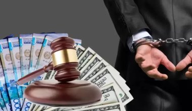 Крупные хищения: чиновники оставили без электросетей жителей Жамбылской области