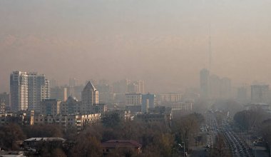 Странам Центральной Азии предложили объединиться против смога