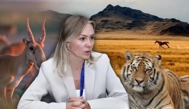 Глава АСБК высказалась о проблеме Талдыколя