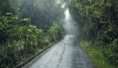 Дожди, грозы и заморозки накроют Казахстан