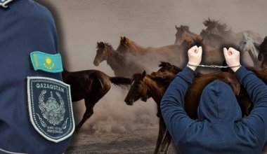 МВД сообщило об успешной операции на границе Казахстана