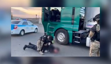 Люди в ловушке: под Павлодаром задержали фуру-тайник