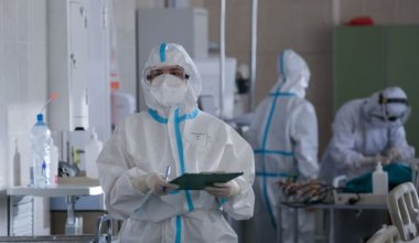 Хантавирус может попасть в Казахстан? Что ответили эпидемиологи