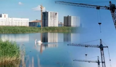 Экопарк на Талдыколе: акимат Астаны обещает начать работы «вот-вот»