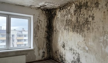 В Акмолинской области новостройка по госпрограмме покрылась плесенью
