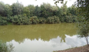 Второй ребенок за неделю утонул в ЗКО