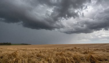 Сильные дожди и шквалистый ветер ожидаются в Казахстане 27 мая