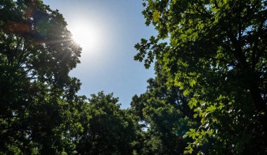 До 33 градусов жары ожидается в Казахстане 27 мая