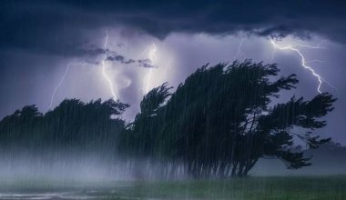 Дожди и пыльные бури: непогода обрушится на некоторые регионы Казахстана 29 мая