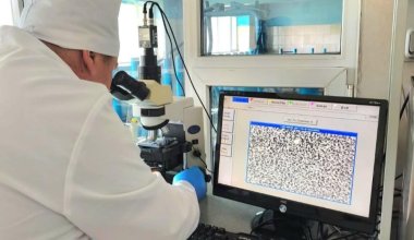 Казахстанские ученые запатентовали инновационную биодобавку