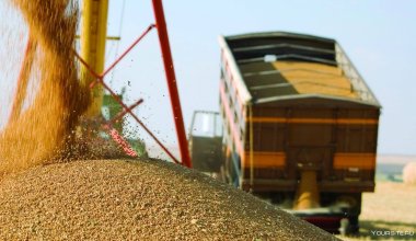Заражённая российская продукция едва не попала в Казахстан