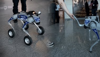Роботы-собаки начали патрулировать улицы Актау