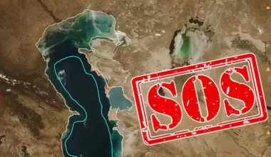 Каспийский кризис: Азербайджан призывает усилить борьбу с обмелением моря