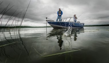 ЧП на водохранилище: лодка с иностранцами перевернулась в Жамбылской области