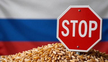 Российские экспортеры зерна несут убытки из-за запрета Казахстана