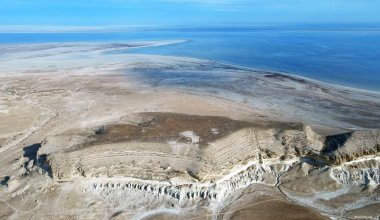 150 древних монет заставили ученых по-новому взглянуть на историю Казахстана