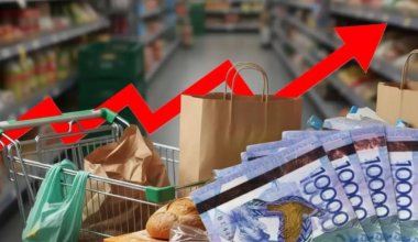 Многомиллиардные убытки и десятки функций: зачем Казахстану СПК?