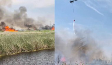 Огонь вплотную подошел к «Семей орманы» в области Абай