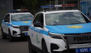 Зачем алматинка забросала полицейскую машину камнями