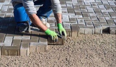 Газоны под бетон? В Павлодаре сорвали странный тендер на 368 миллионов