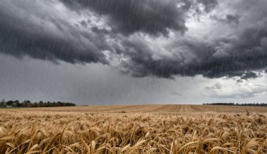 Казахстан под ударом стихии: ожидаются сильные осадки и ветер