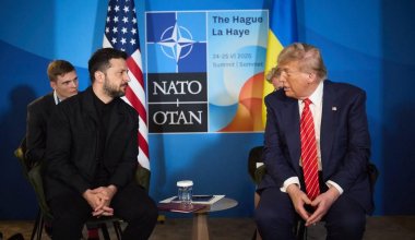 Трамп встретится с Зеленским на саммите НАТО в Турции