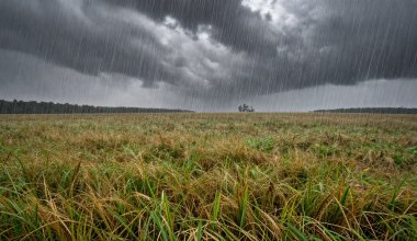 Атмосферные фронты принесут в Казахстан дожди со шквалами