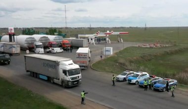 Бензиновая лазейка закрывается: МВД поймало почти 200 иностранцев